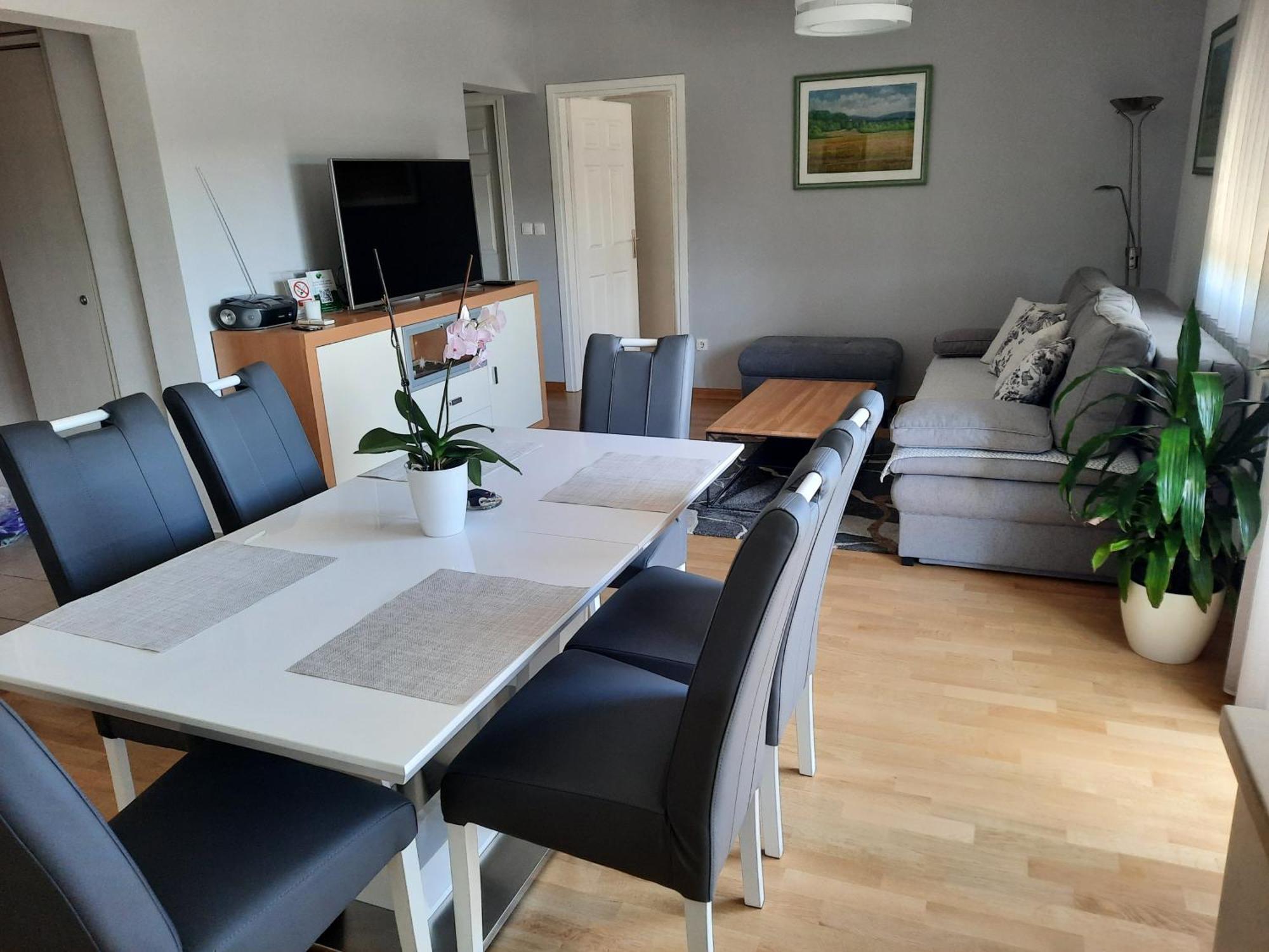Apartman Dada Krapinske Toplice Εξωτερικό φωτογραφία