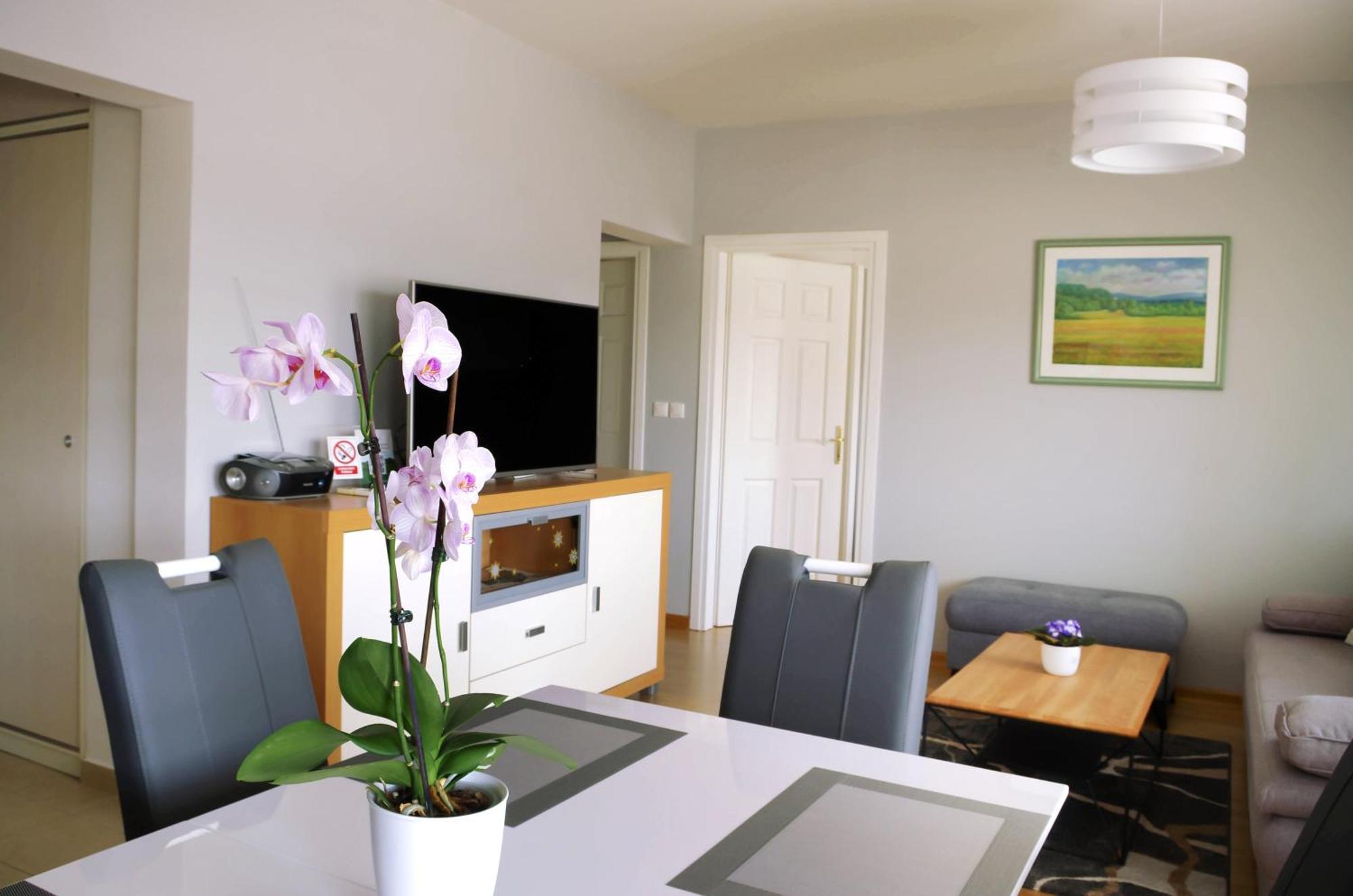 Apartman Dada Krapinske Toplice Εξωτερικό φωτογραφία
