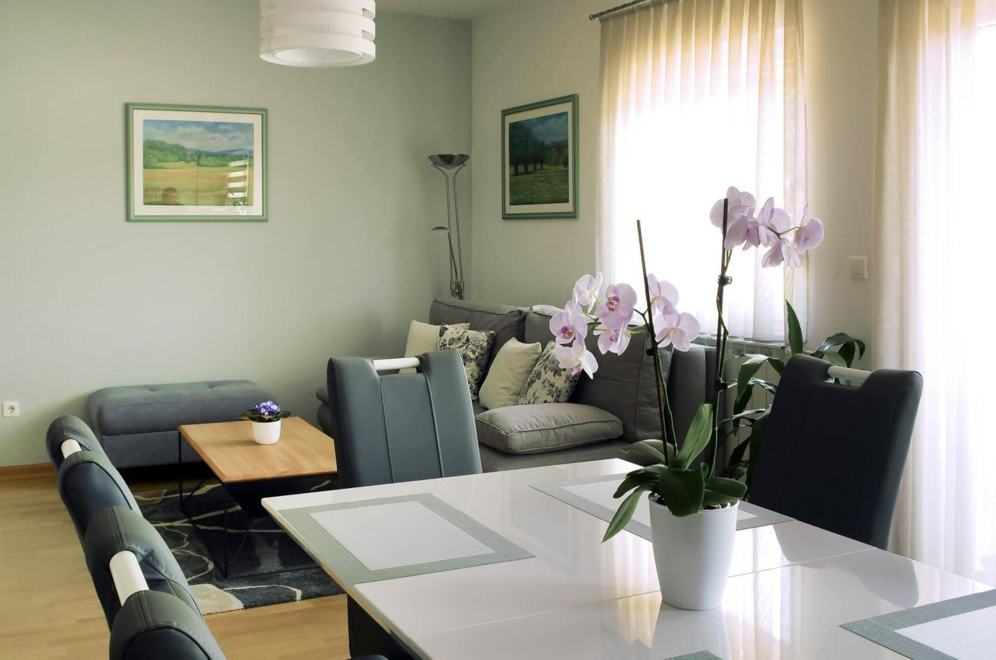 Apartman Dada Krapinske Toplice Εξωτερικό φωτογραφία